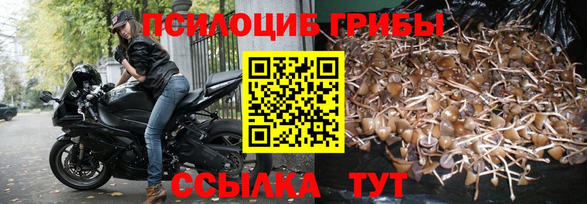 Галлюциногенные грибы Magic Shrooms Удомля